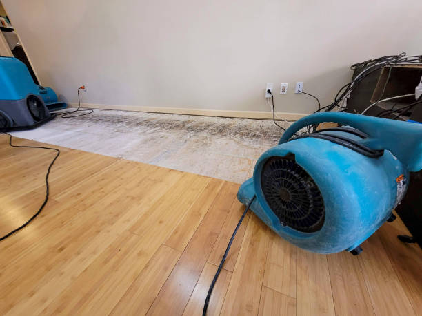 Professional Water Damage Repair technician working in East Bernard, TX